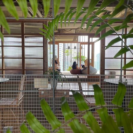 Star Hostel Taichung Parklane Extérieur photo